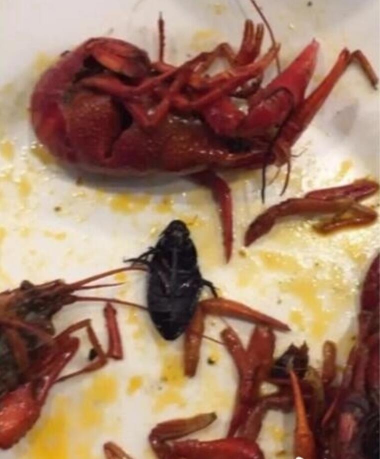 吃出蟑螂賠付666元吃出蟑螂賠付的金額可能會因具體情況而異。一般來說，消費(fèi)者在遇到食品安全問題時可以要求商家進(jìn)行賠償。具體的賠償金額可能會根據(jù)消費(fèi)者所遭受的損失、商家的態(tài)度以及相關(guān)法律法規(guī)的規(guī)定等因素進(jìn)行確定。因此，如果消費(fèi)者在用餐過程中吃出蟑螂或其他異物，建議第一時間與商家進(jìn)行溝通并保留相關(guān)證據(jù)，以便后續(xù)維權(quán)。關(guān)于賠付金額的問題，最好與商家協(xié)商或通過法律途徑解決?？傊M(fèi)者應(yīng)該保持理性并合理維權(quán)。