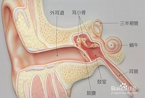 爸爸掏耳朵被孩子撞到致耳膜脫落爸爸掏耳朵遭遇意外，孩子不慎撞到致耳膜脫落