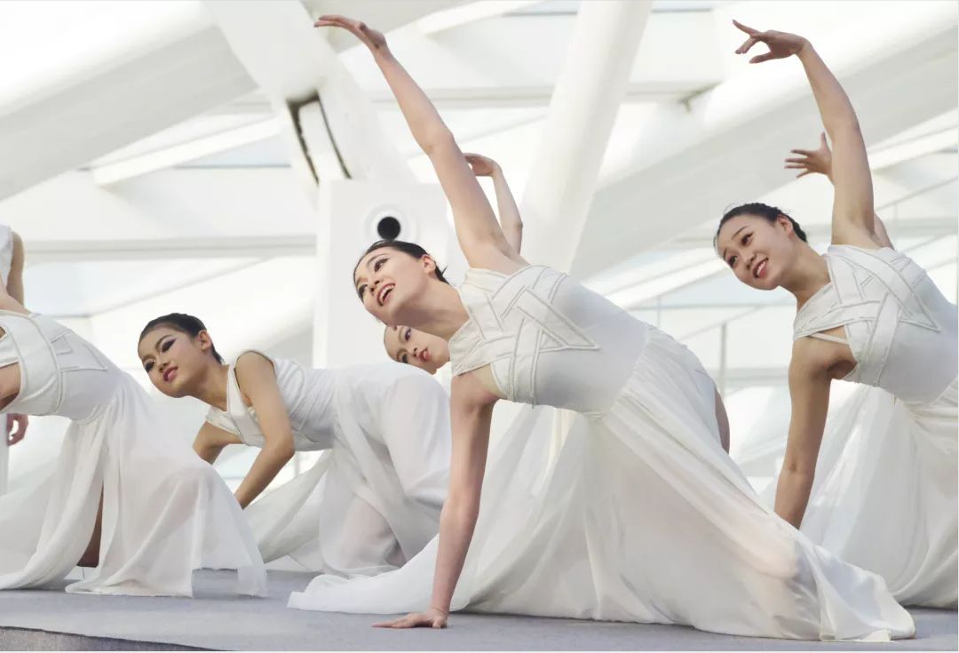 中國舞蹈家協(xié)會(huì)人員中國舞蹈家協(xié)會(huì)人員風(fēng)采