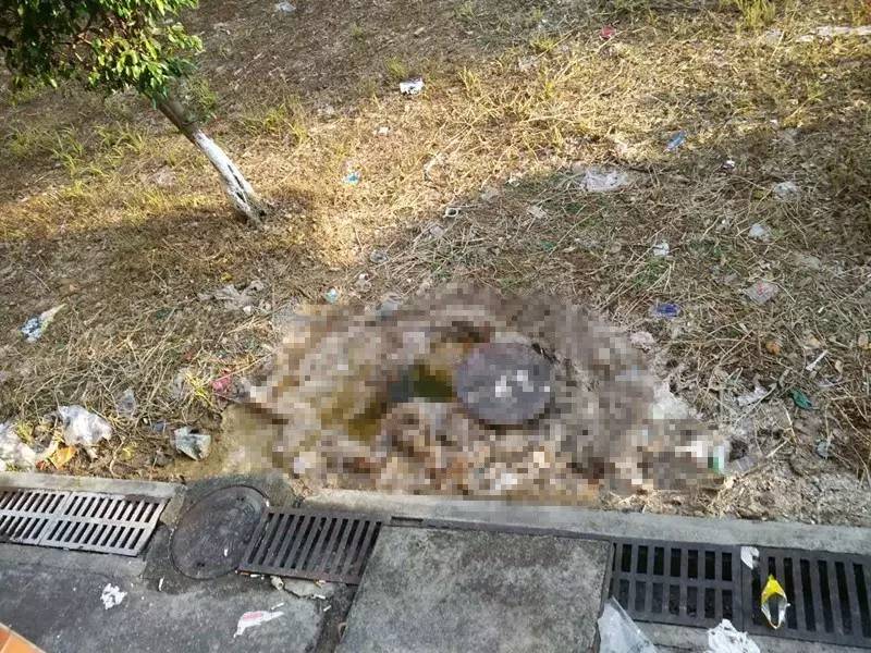中國(guó)美院排糞管爆裂學(xué)生遭糞水噴濺中國(guó)美院驚現(xiàn)排糞管爆裂事件，學(xué)生遭遇糞水噴濺的意外