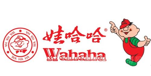 娃哈哈旗下公司更名娃哈哈旗下公司更名，探索企業(yè)變革背后的策略與意義