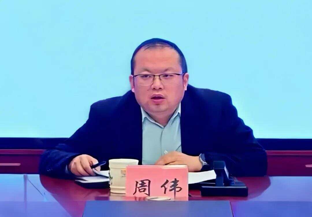 85后副市長周偉被查揭秘85后副市長周偉被查，背后的故事與啟示