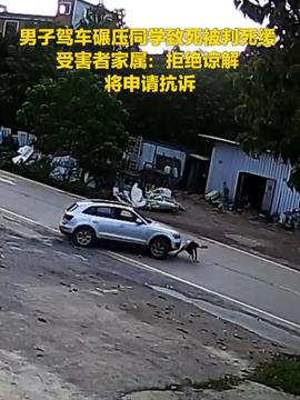 駕車碾死同學(xué)判死緩駕車碾死同學(xué)判死緩，一起悲劇引發(fā)的深度思考