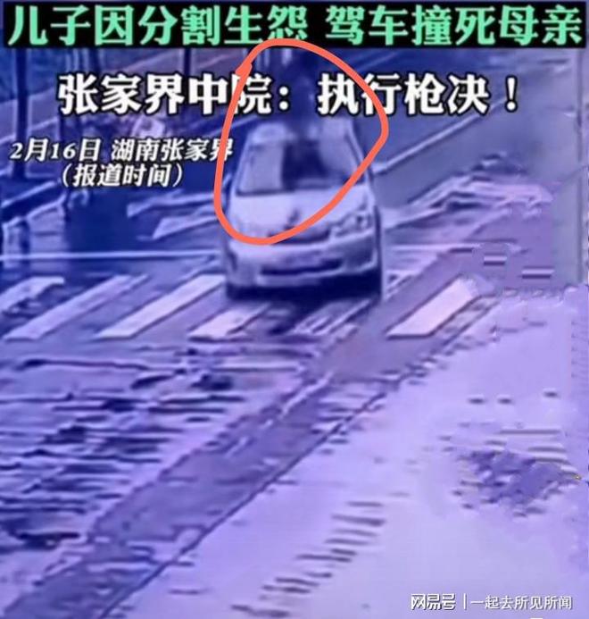 湖南男子開車撞死母女湖南男子開車撞死母女事件，深度分析與反思