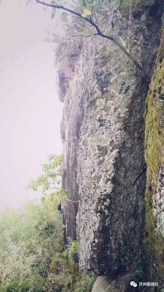 虎跳峽景區(qū)出現(xiàn)\"不明生物\"?當(dāng)?shù)鼗貞?yīng)虎跳峽景區(qū)出現(xiàn)不明生物，當(dāng)?shù)鼗貞?yīng)揭秘神秘現(xiàn)象