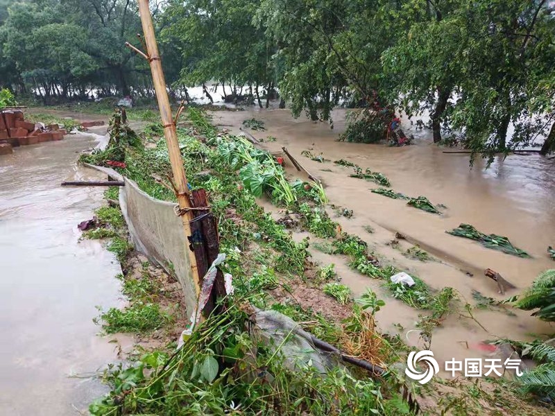 強(qiáng)降雨致多地受災(zāi)強(qiáng)降雨致多地受災(zāi)，如何應(yīng)對自然災(zāi)害的挑戰(zhàn)？