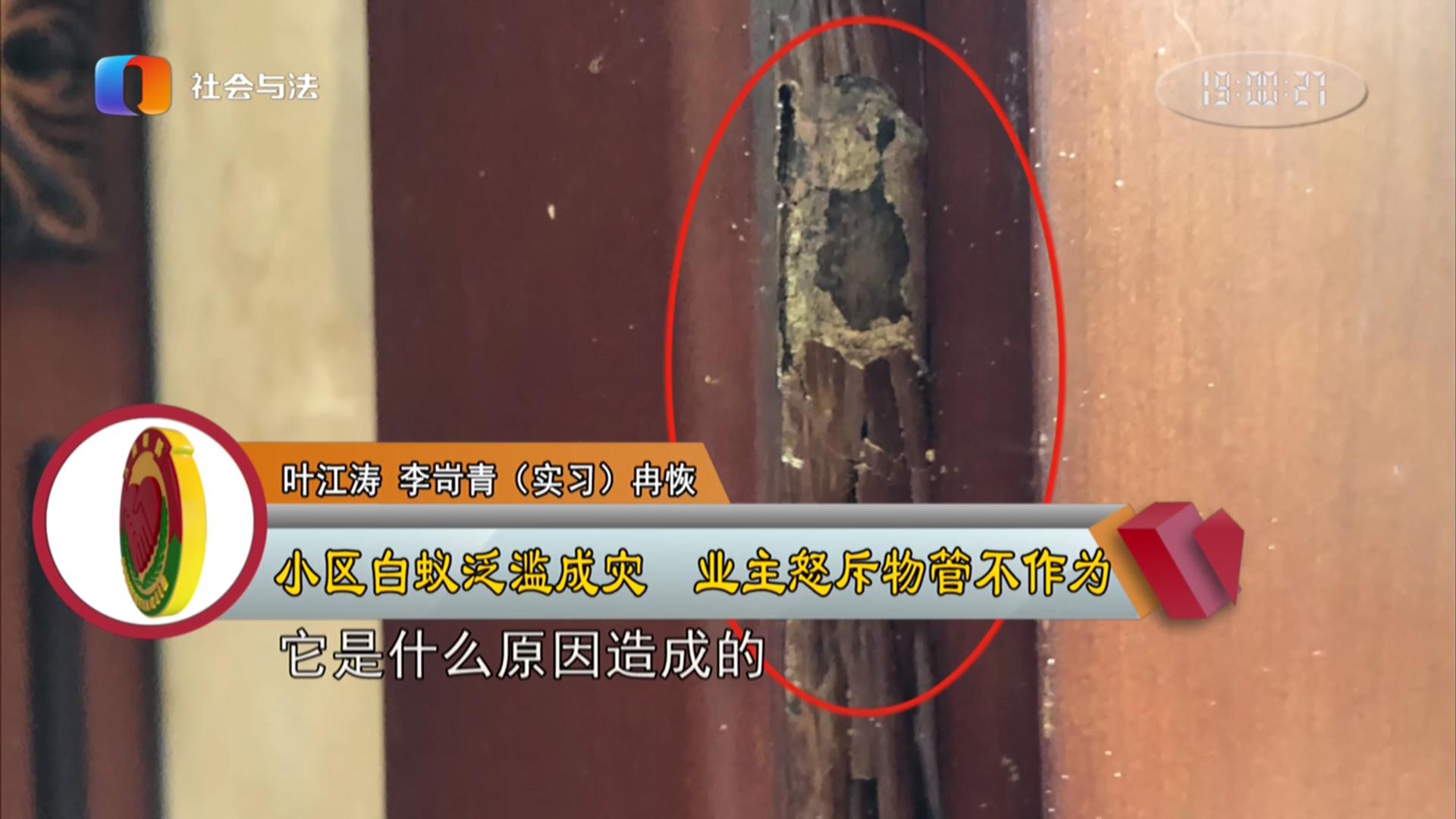 小區(qū)蟲子多物業(yè)責(zé)任小區(qū)蟲子多，物業(yè)是否有責(zé)任，要根據(jù)具體情況分析。