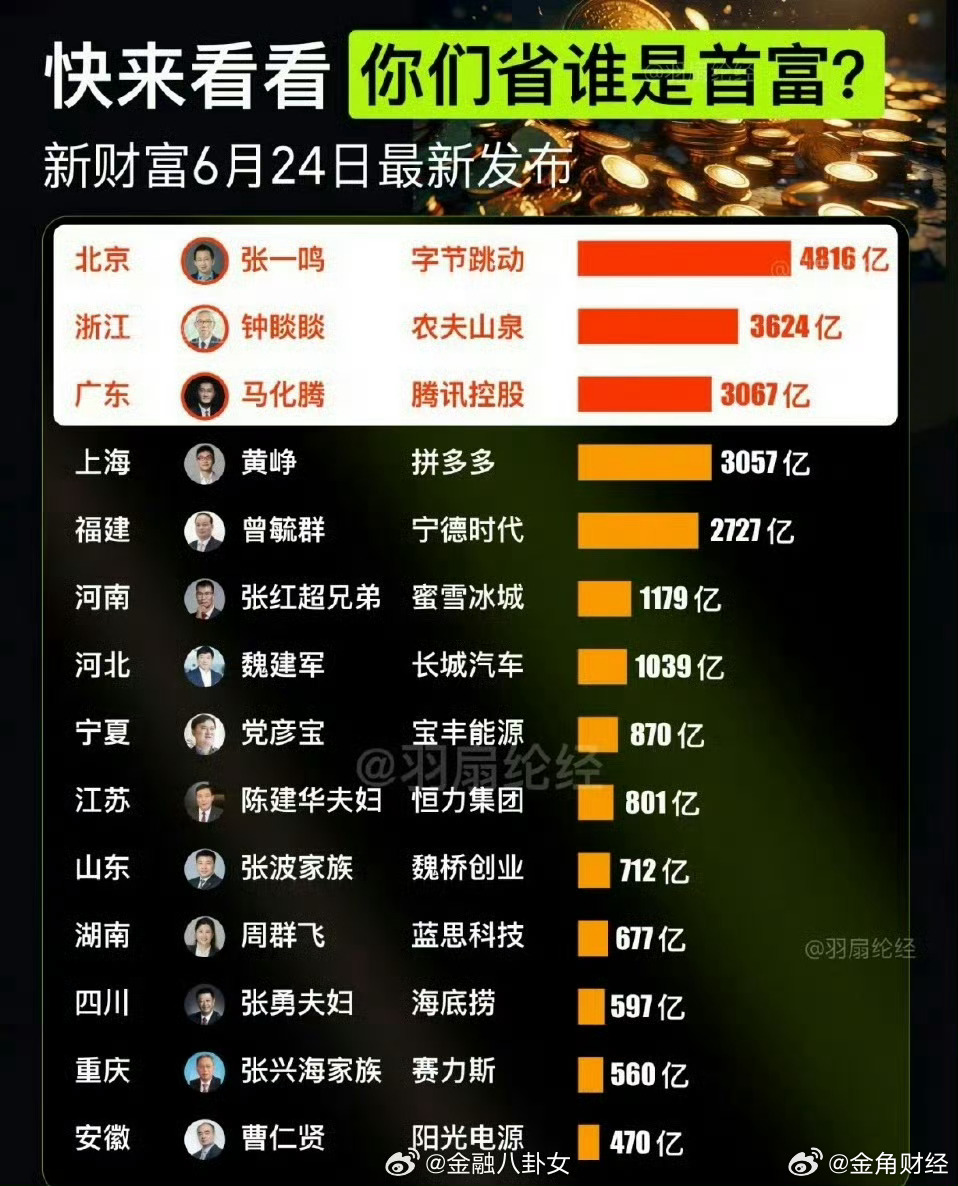 一個(gè)省的首富有多少錢一個(gè)省的首富有多少錢，深度解析財(cái)富積累與影響因素