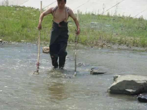 男子背著釣到的79斤鳡魚在鬧市穿行據(jù)報道，一名男子在釣魚時捕獲了一條重達79斤的鳡魚，隨后他背著這條大魚在鬧市穿行。