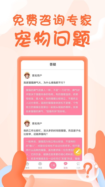 人，什么是安卓貓！探索未知，人與安卓貓的奇妙世界