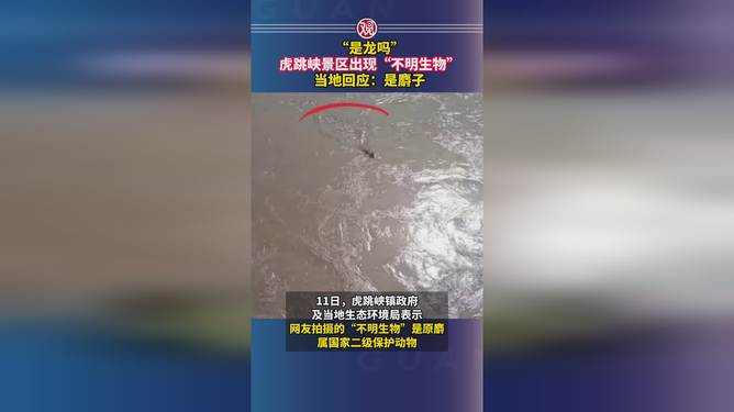 虎跳峽出現(xiàn)不明生物？當?shù)鼗貞⑻鴯{出現(xiàn)不明生物？當?shù)鼗貞颐厣衩噩F(xiàn)象背后的真相