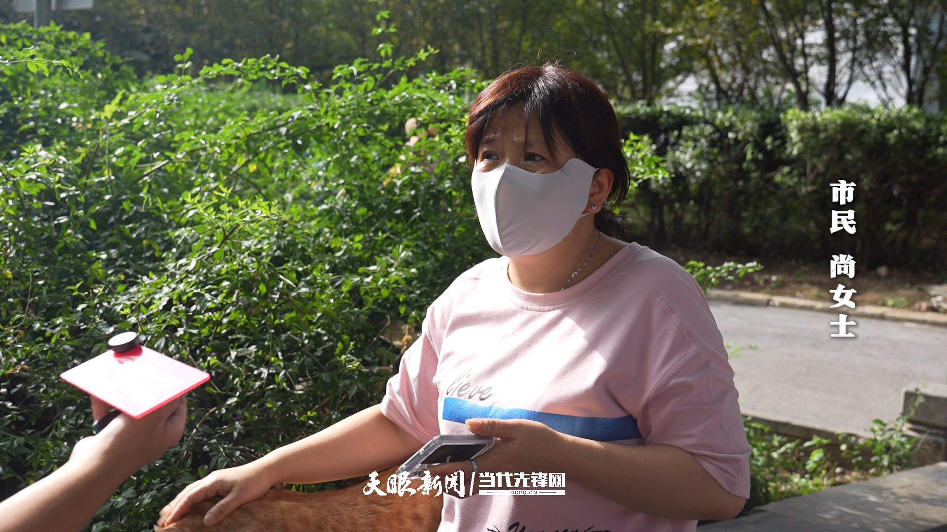 警方辟謠貴陽文昌閣虐貓事件警方辟謠貴陽文昌閣虐貓事件，真相究竟如何？