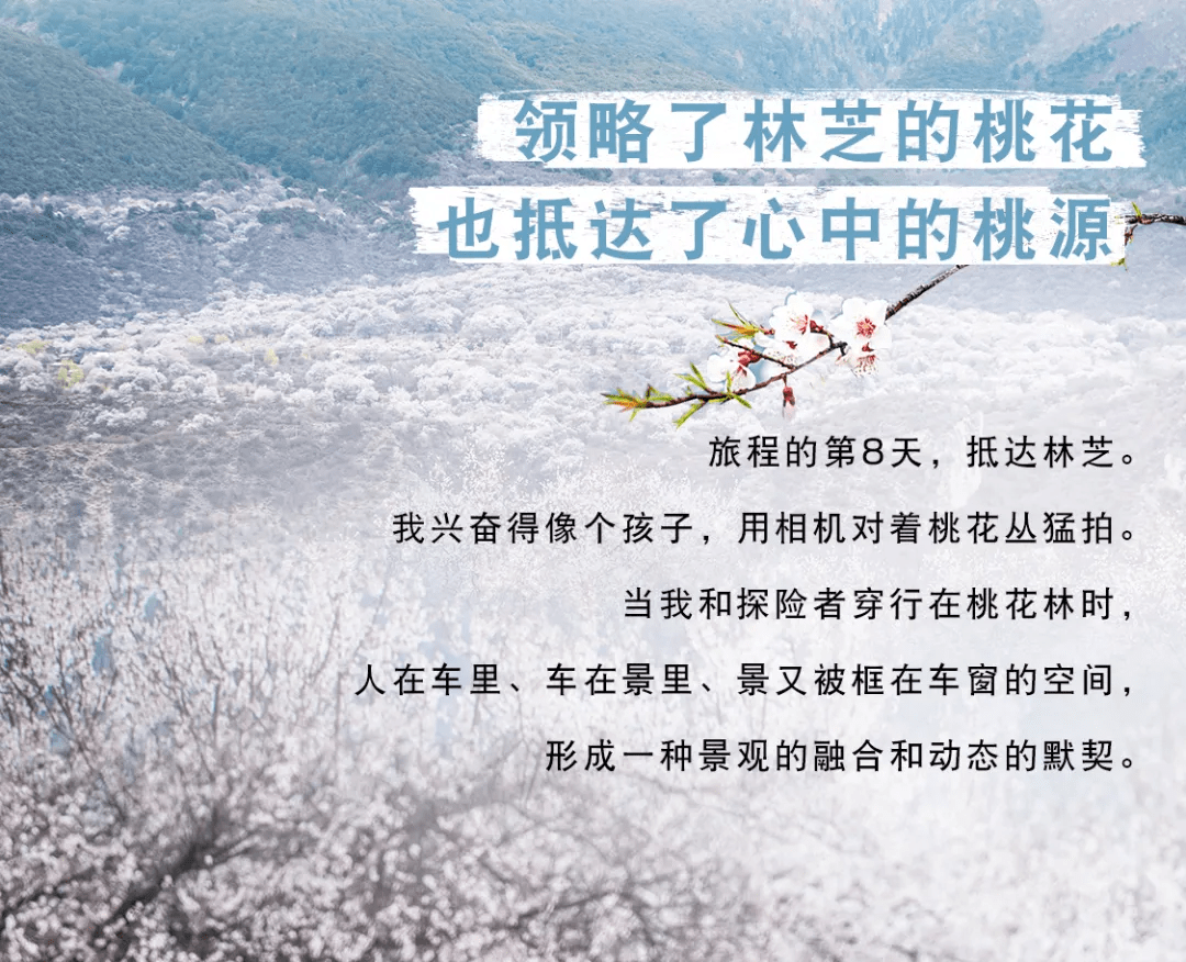 《赴山?！分挡恢档萌肟痈吧胶Ｊ且徊恳哉鎸?shí)人物事件為背景的都市情感劇，講述了不同年齡、不同性格的人們面對生活挑戰(zhàn)和成長的故事。關(guān)于是否值得入坑，這主要取決于個人興趣和偏好。