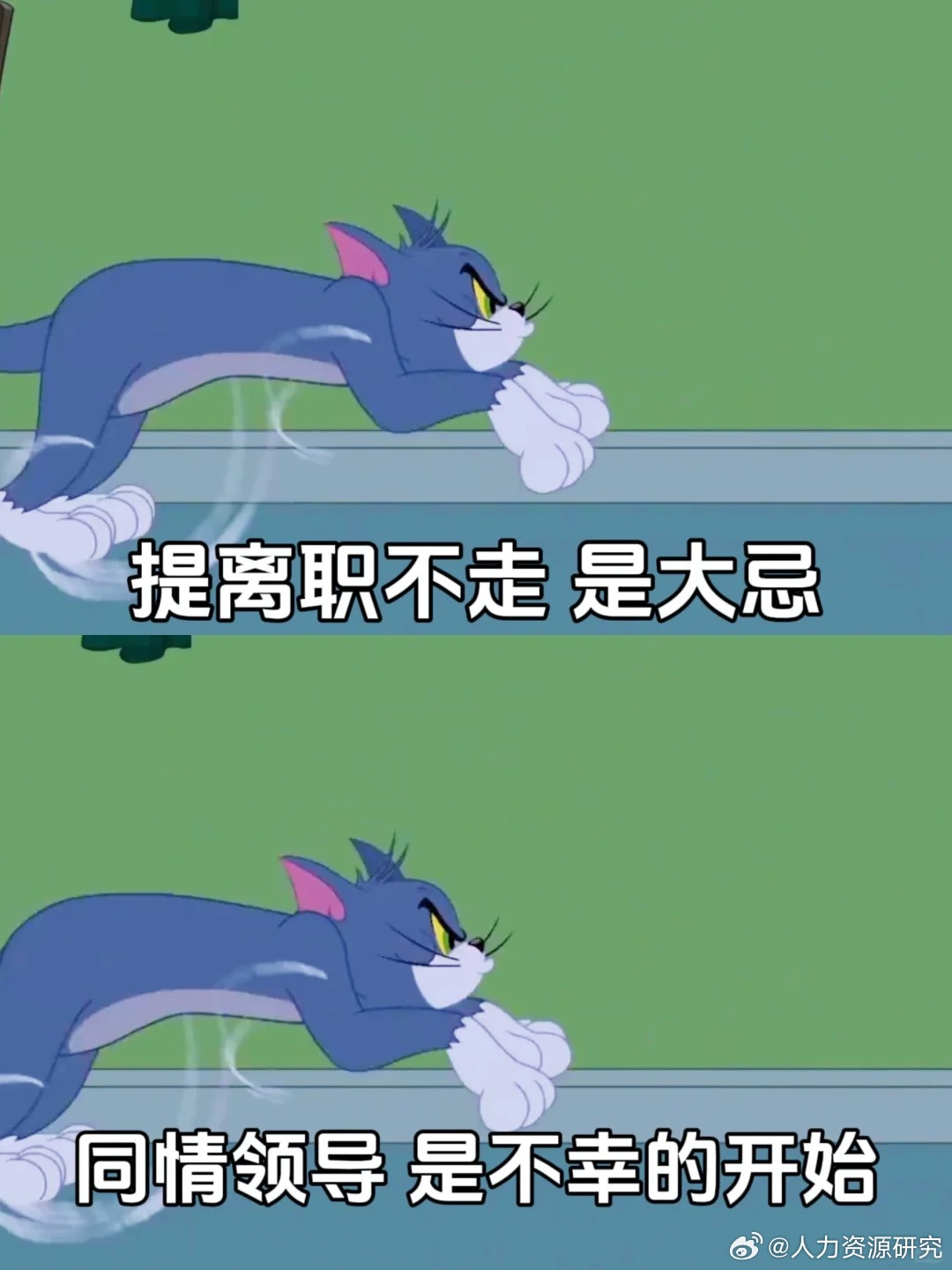 提離職不走職場大忌離職不走職場大忌，如何避免犯錯，順利過渡職業(yè)生涯？