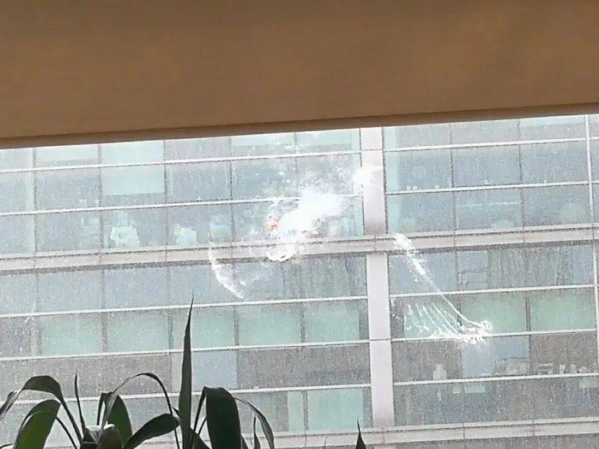 南京一大橋玻璃墻頻現(xiàn)撞鳥事件南京一大橋玻璃墻頻現(xiàn)撞鳥事件，背后的原因與應(yīng)對之策