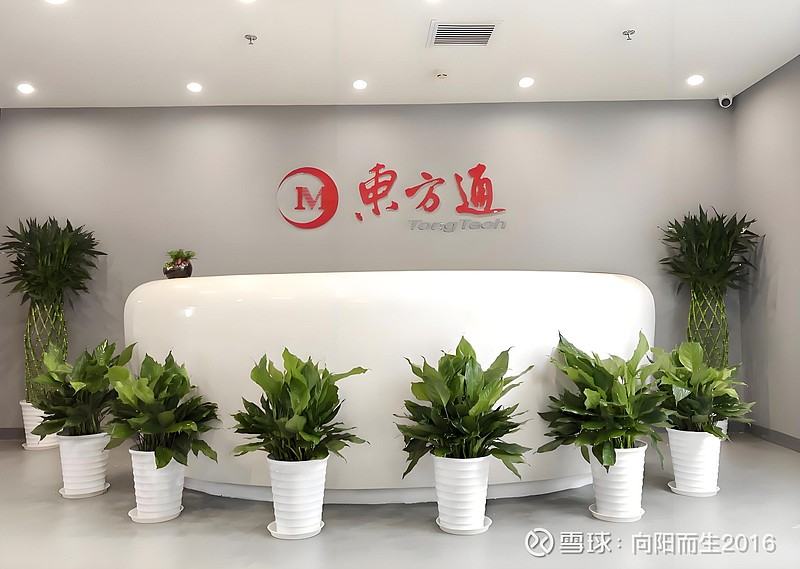 東方通簡介東方通簡介——全面解讀一家引領未來的科技企業(yè)