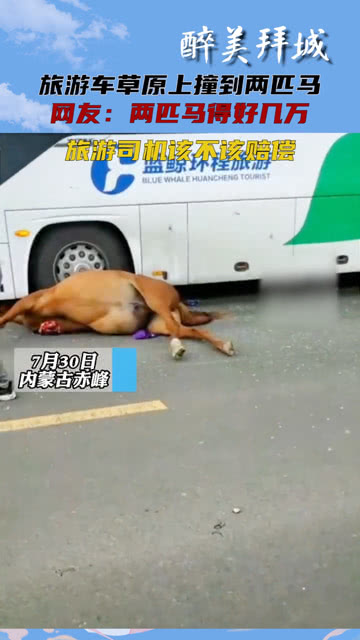 司機(jī)撞死兩匹馬自媒體文章標(biāo)題，司機(jī)撞死兩匹馬，事件背后的反思與啟示