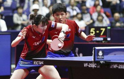 國乒選手孫穎莎孫穎莎是中國女子乒乓球隊(duì)的一名選手。
