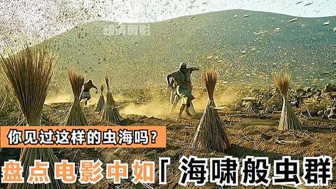暗殺刺客的電影十大經(jīng)典暗殺刺客電影，帶你領(lǐng)略電影藝術(shù)的魅力