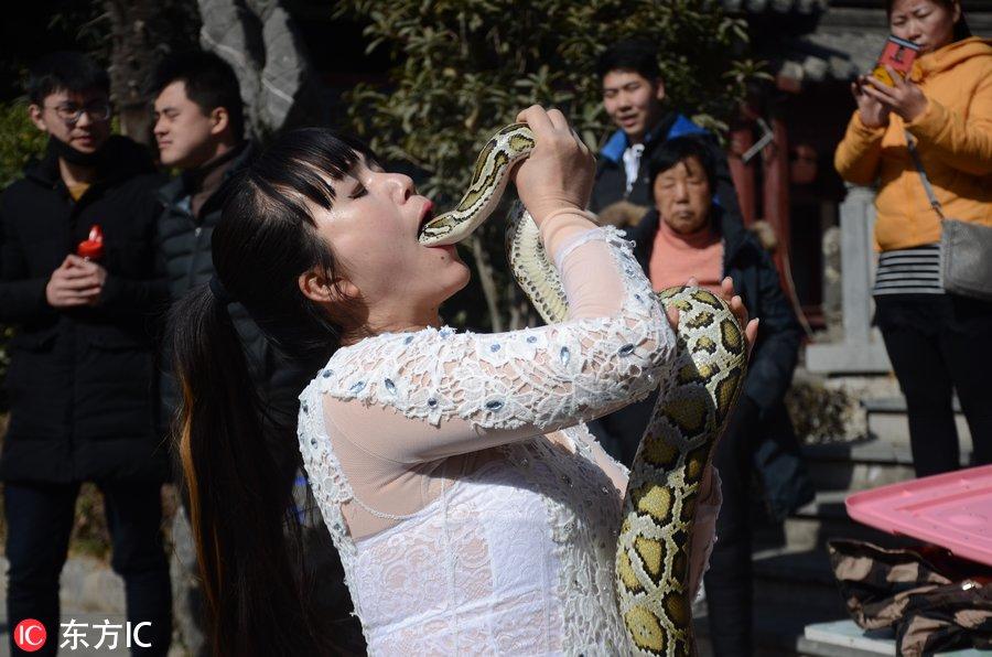 表演與蛇親嘴被咬驚心動(dòng)魄的瞬間，表演蛇親吻遭遇意外咬傷事件