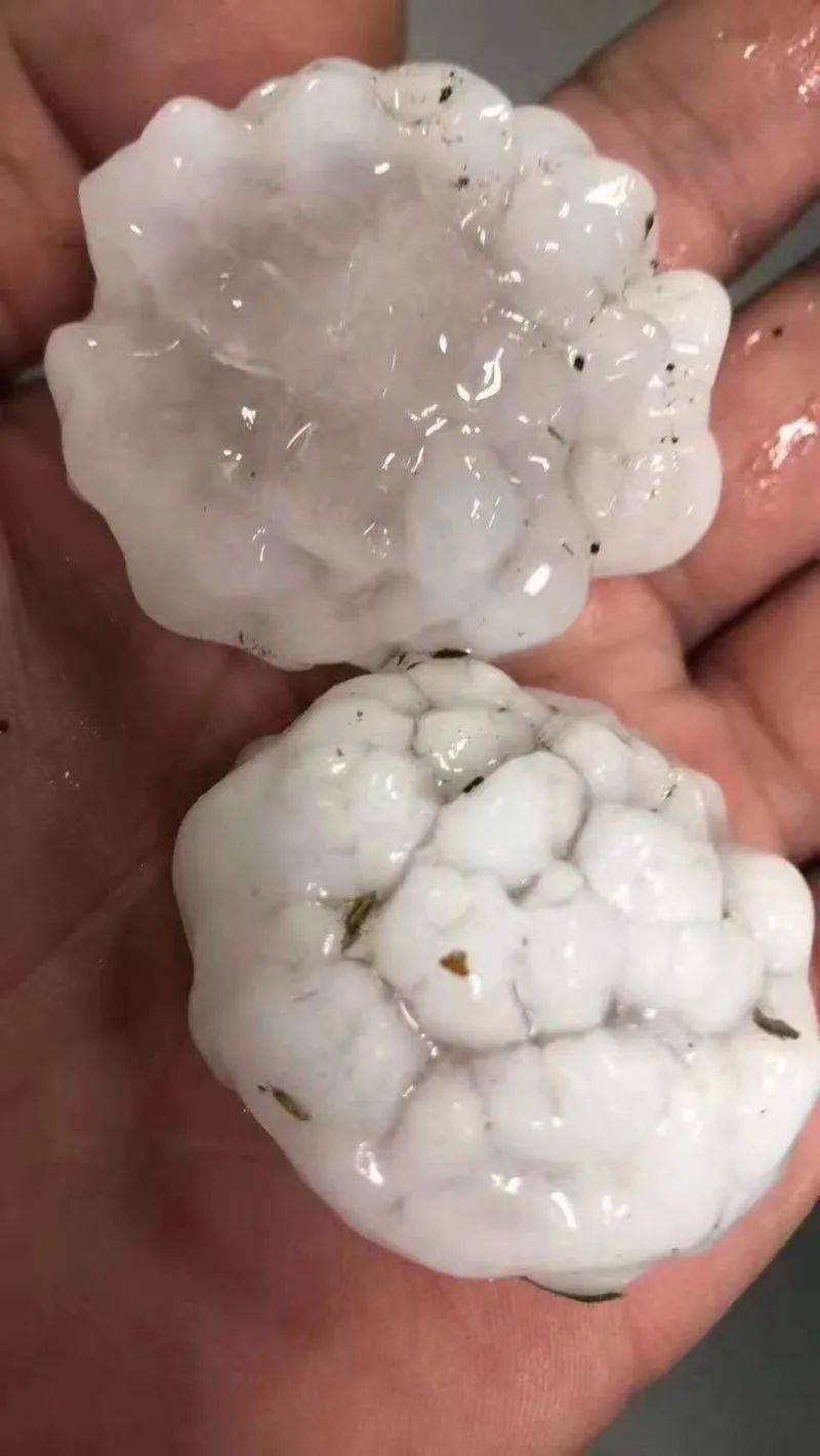 北京多區(qū)傍晚突降冰雹 大小堪比雞蛋是的，北京多個區(qū)域在傍晚時分突然降下冰雹，其中一些冰雹的大小堪比雞蛋。這種情況屬于極端天氣事件，給當(dāng)?shù)鼐用駧砹艘欢ǖ挠绊憽? class=
