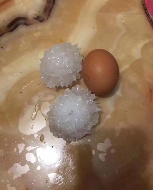 “北京冰雹”上熱搜:和雞蛋一樣大北京冰雹上熱搜，和雞蛋一樣大，這種情況屬于極端天氣事件，給人們的生活帶來了很大的影響。