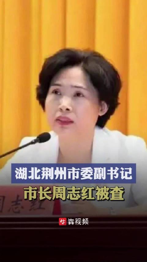 荊州市原市長被查荊州市原市長被查，反腐風暴持續(xù)高壓推進