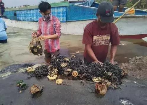 河南現(xiàn)不明飛行物河南現(xiàn)不明飛行物，探尋真相與科學(xué)解讀