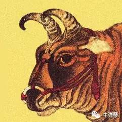 牛彈琴：美國又出一怪招一箭三雕牛彈鋼琴，美國新策略揭秘——一箭三雕的怪招