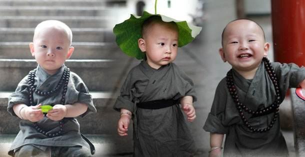 “昆侖童子”案告破昆侖童子案告破，深度解析案件細(xì)節(jié)與社會(huì)反響