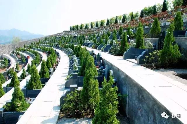 \"天價墓地\" 變天了天價墓地變天了——重新審視墓地價值與行業(yè)變革