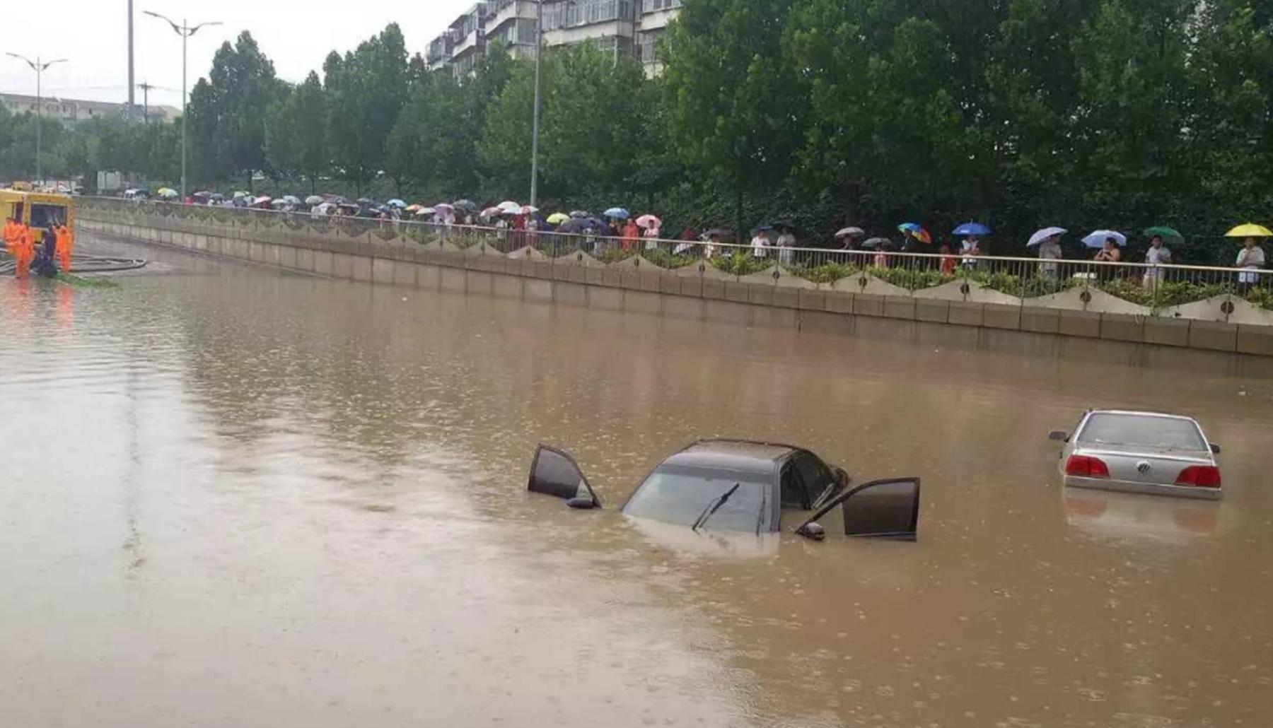 河南多地遭“小白蟲”侵襲河南多地遭遇小白蟲侵襲，農(nóng)作物生死存亡一線間