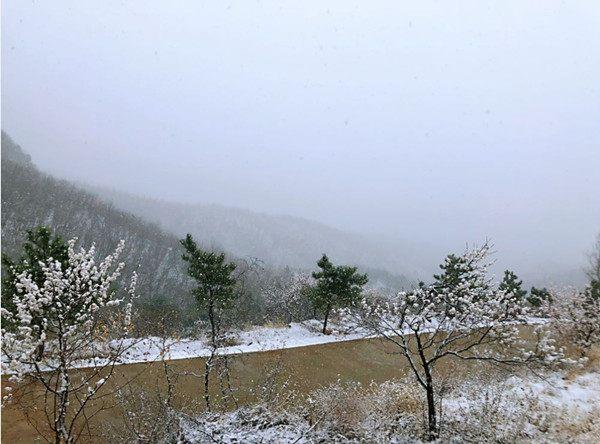 北京突降暴雨冰雹北京突降暴雨冰雹，如何應(yīng)對(duì)極端天氣與保護(hù)自身安全