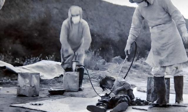 電影《731》揭露活體實(shí)驗(yàn)真相視頻電影731揭露日軍活體實(shí)驗(yàn)真相，震撼人心的歷史視頻