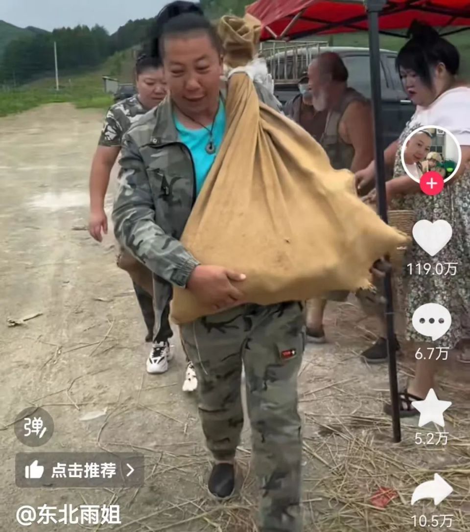 東北雨姐帶貨粉條廠被執(zhí)行671萬(wàn)東北雨姐帶貨的粉條廠被強(qiáng)制執(zhí)行671萬(wàn)的消息引起了廣泛關(guān)注。這一事件不僅關(guān)乎到企業(yè)的運(yùn)營(yíng)狀況，也涉及到消費(fèi)者的權(quán)益保護(hù)問(wèn)題。
