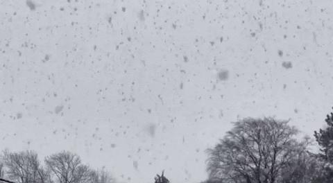 被冰雹砸了的可怕的圖片被冰雹砸了的可怕圖片——一場天災(zāi)的震撼瞬間