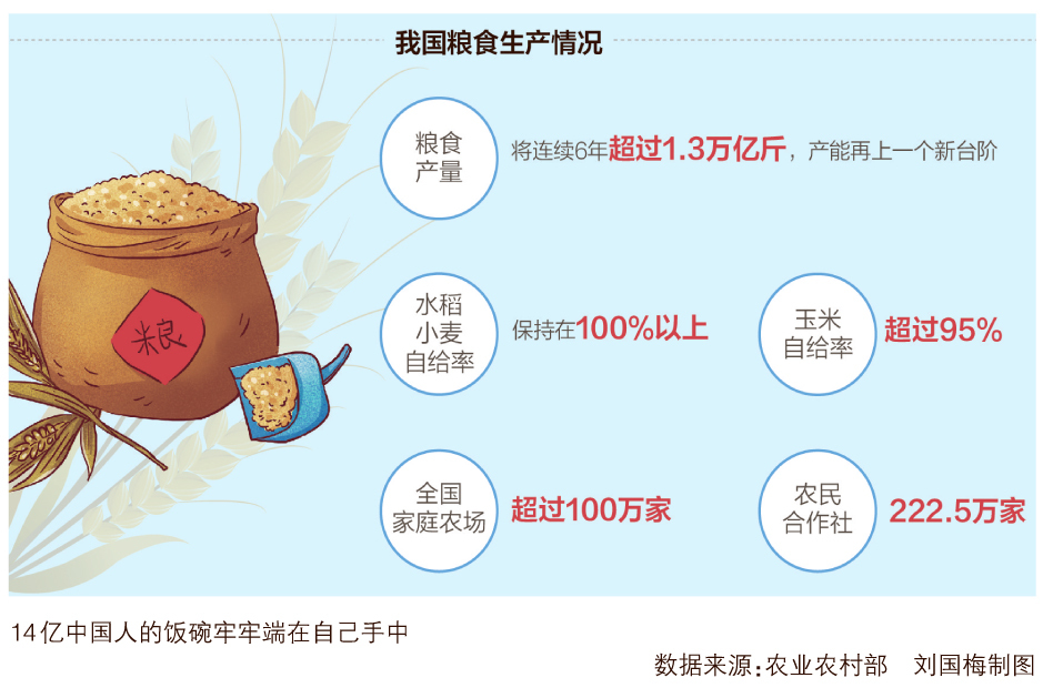 中國人均糧食占有量達500公斤中國人均糧食占有量達500公斤，豐收的背后與未來的展望