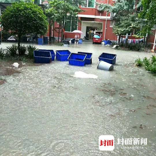 暴雨致成都師范學(xué)院積水深至膝蓋暴雨導(dǎo)致成都師范學(xué)院積水嚴(yán)重，水深甚至達(dá)到了膝蓋。這種情況可能會(huì)對(duì)學(xué)校的師生造成一定的影響和不便。