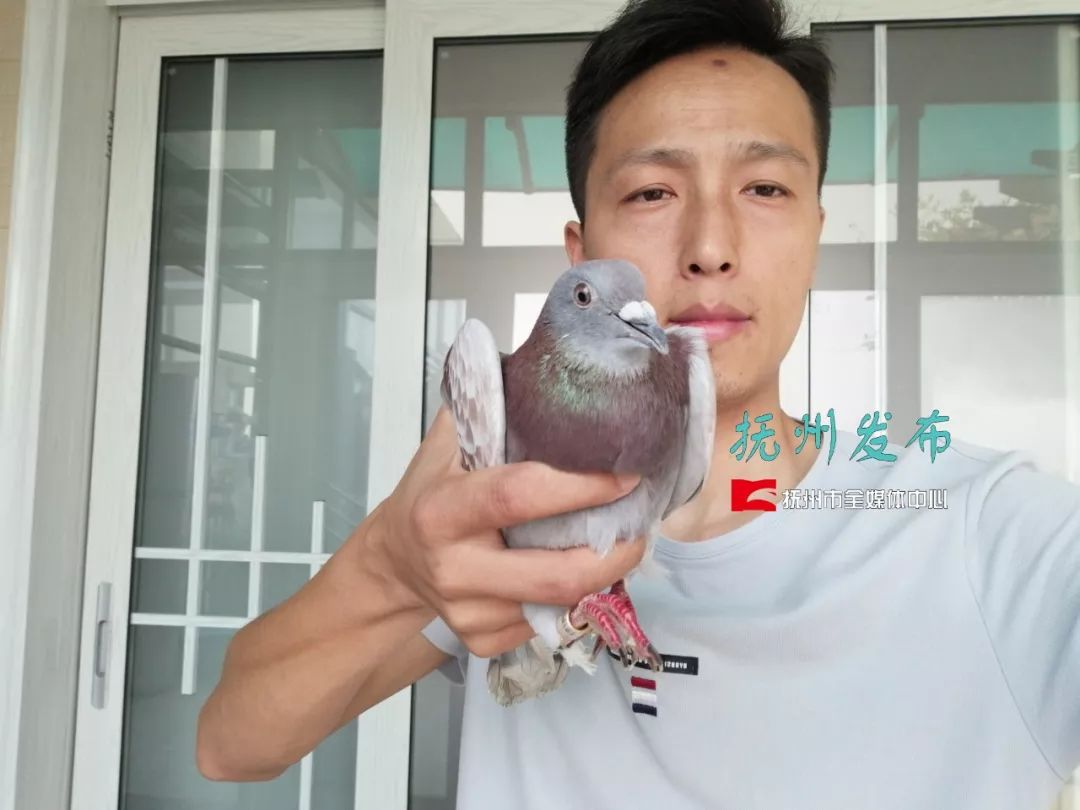 國慶節(jié)放飛和平鴿視頻關(guān)于國慶節(jié)放飛和平鴿的視頻可以在各大視頻網(wǎng)站搜索到。這些視頻展示了慶祝國慶節(jié)時(shí)放飛和平鴿的壯觀場面，鴿子象征著和平與安寧，它們的飛翔代表著對(duì)和諧世界的向往和追求。