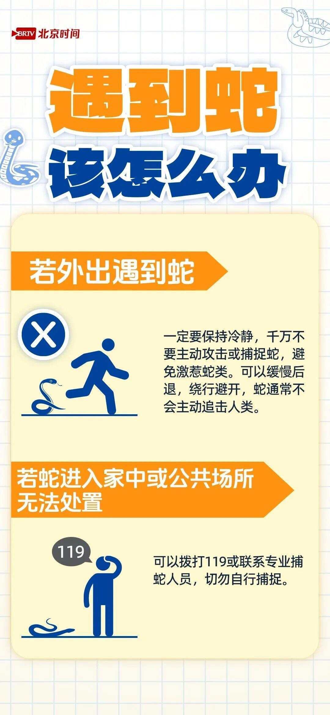 廣東一20斤蟒蛇生吞牛犢?gòu)V東驚現(xiàn)20斤蟒蛇生吞牛犢，揭秘背后的生態(tài)真相