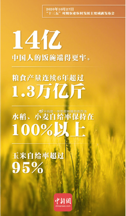 人均糧食占有量1000斤以上全球人均糧食占有量超過一千斤，現(xiàn)狀、挑戰(zhàn)與未來展望