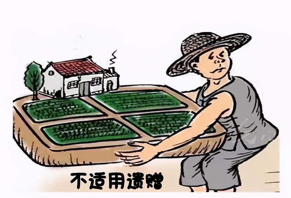 農(nóng)業(yè)農(nóng)村部農(nóng)村宅基地使用權(quán)改革試點(diǎn)農(nóng)業(yè)農(nóng)村部農(nóng)村宅基地使用權(quán)改革試點(diǎn)，探索與實(shí)踐