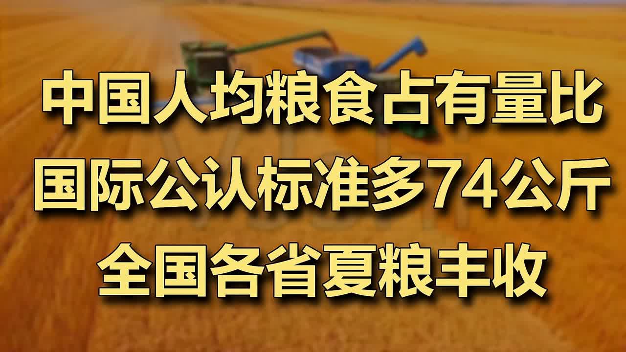 人均糧食占有量1000斤是多少人均糧食占有量達(dá)到一千斤背后的故事，深度解析與洞察