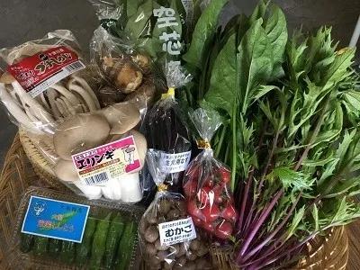 日本吃蔬菜日本飲食文化中的蔬菜元素，深度解析日本人的蔬菜食用之道