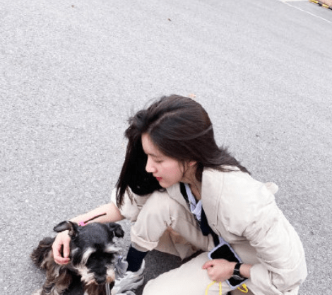四川女生撿到趙露思的狗四川女生意外撿到當(dāng)紅明星趙露思的寵物狗，背后的故事溫暖人心