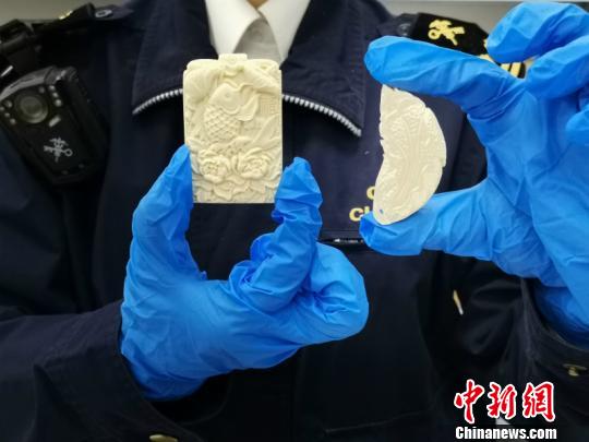 內(nèi)褲藏象牙制品被查警惕非法走私行為，內(nèi)褲藏象牙制品被查事件深度解析