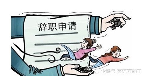 教師辭職做生意教師辭職做生意，勇氣背后的故事與挑戰(zhàn)