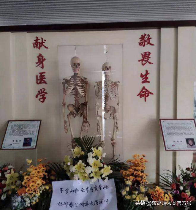 出生237天成大體老師出生237天，小寶貝的成長奇跡，從初生嬰兒到活力四射的大體老師之路