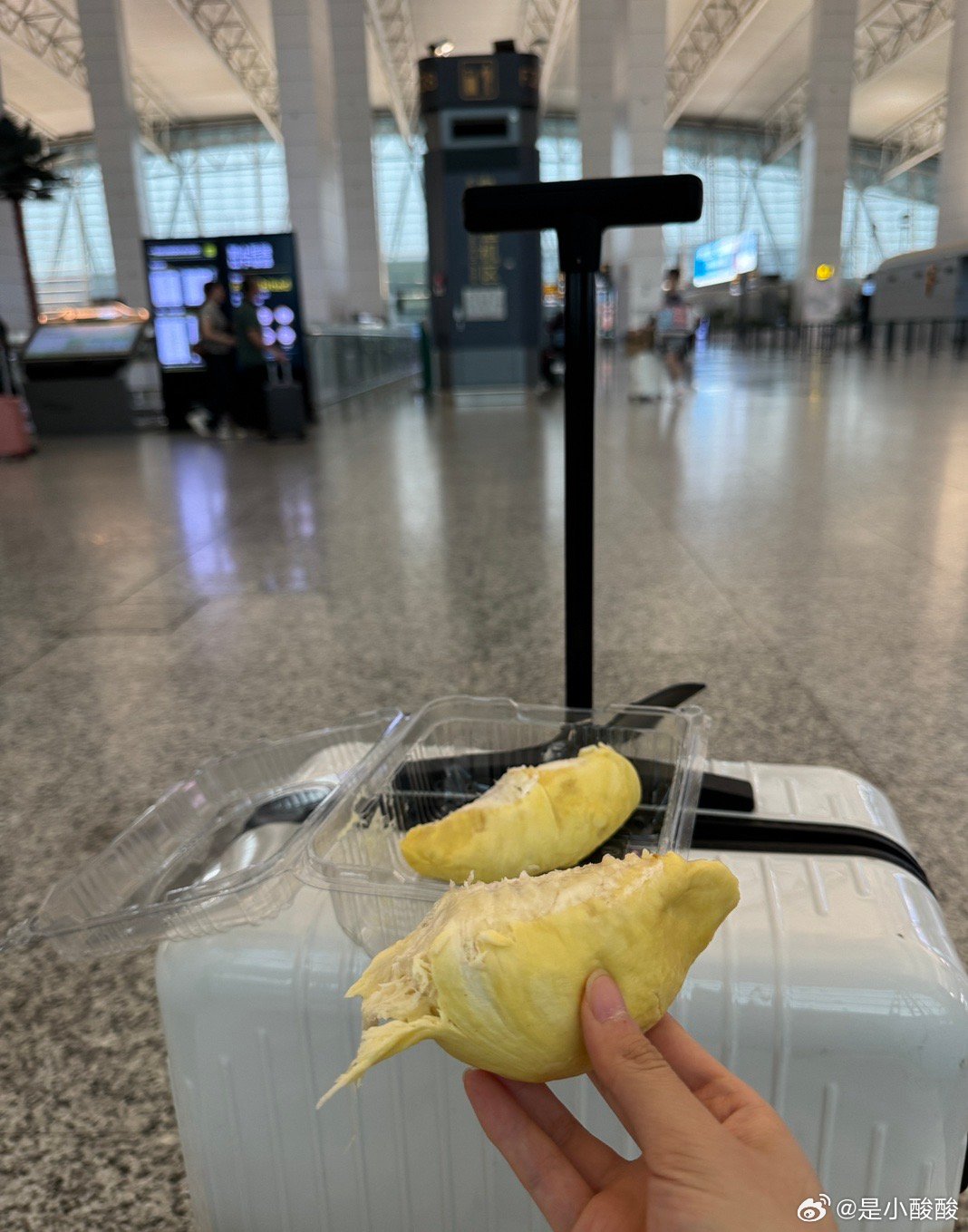 飛機上吃榴蓮飛機上吃榴蓮，一場高空美食之旅的體驗
