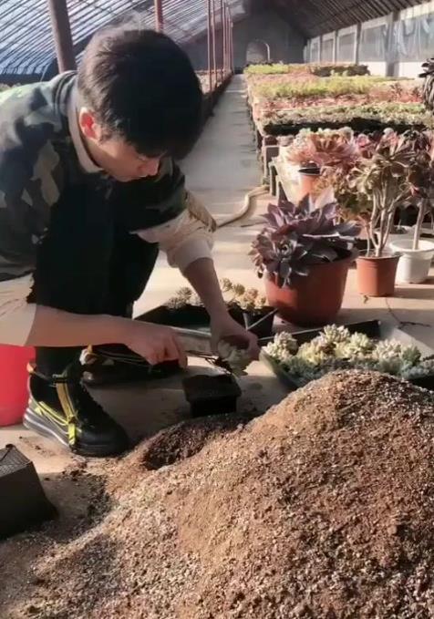 工地現(xiàn)父親生前藏錢工地發(fā)現(xiàn)父親生前的秘密存款，一段感人至深的回憶之旅